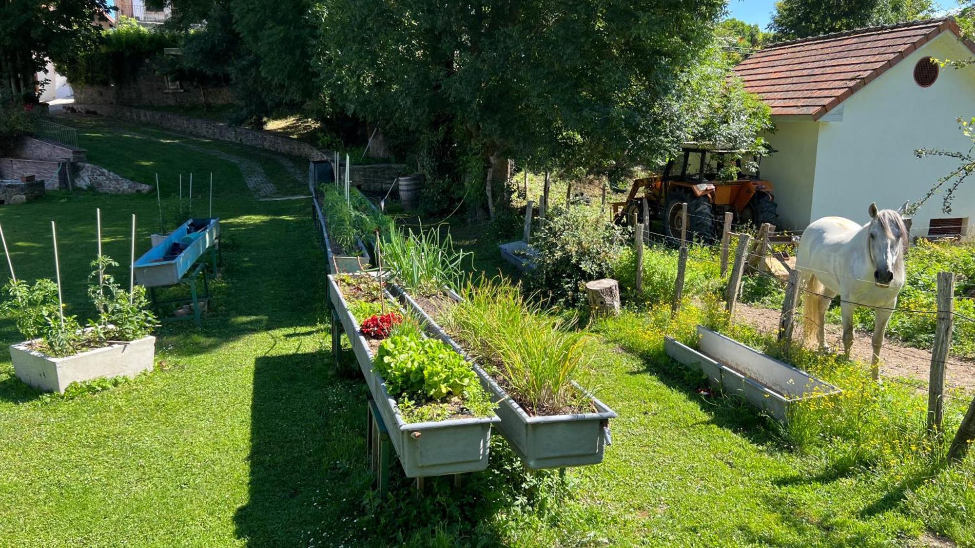 Casa Rural Roncesvalles Espinal-Auzperri Zewnętrze zdjęcie